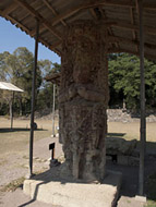 Stela C in the Grand Plaza at Copan - copan mayan ruins,copan mayan temple,mayan temple pictures,mayan ruins photos